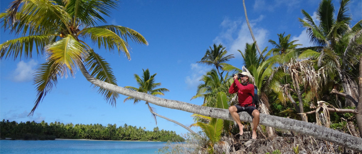Mitch Rolling sitting in a tree for a better photographic angle